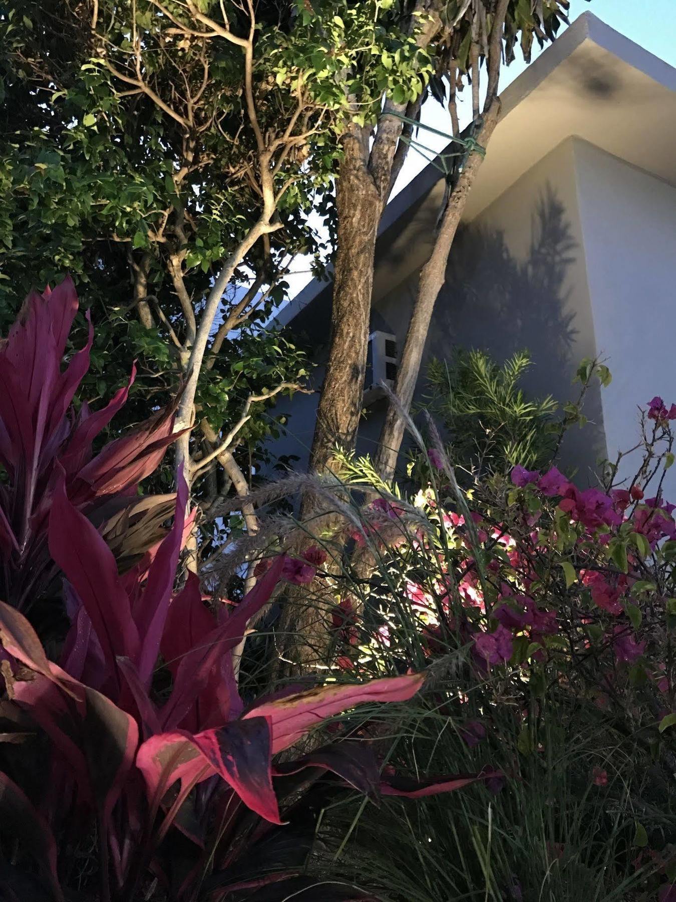 Luxury Miami Beach Apartments By Michigan Exteriör bild